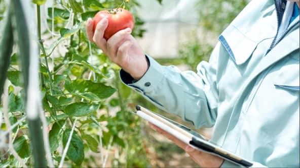 農業ソリューション